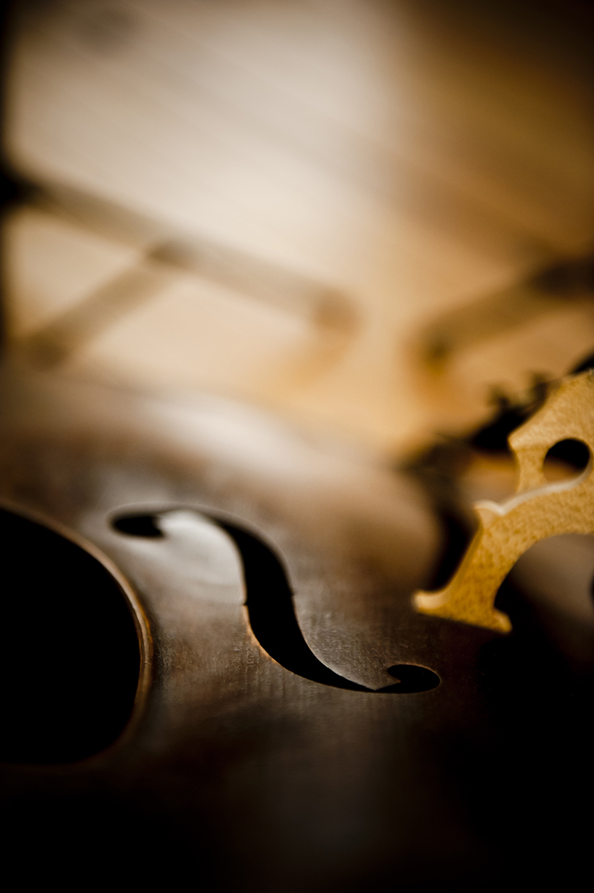 detalle de un violín